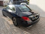 Mercedes-Benz E 200 9G-TRONIC Avantgarde - Mercedes-Benz E 200 mit Benzin-Antrieb: Blau