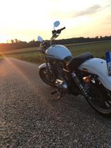Harley-Davidson Sportster XL883L super low - HARLEY-DAVIDSON SPORTSTER 883 LOW