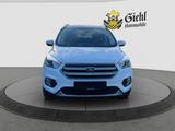 Ford Kuga Titanium für Gewerbe Ex-/Import - : Import