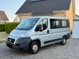 Fiat Ducato l2H1 9Sitzer Passenger - Fiat Ducato mit Diesel-Antrieb: Kleinbus, 9 Sitzer