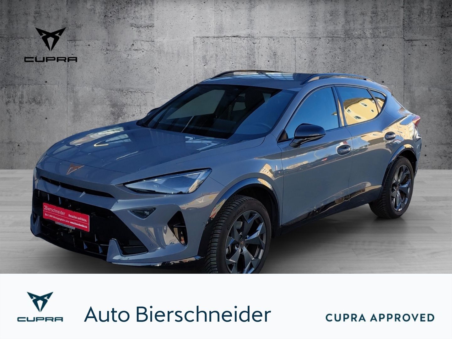 Cupra Formentor 2.0 TDI DSG ab 269,- EUR mtl. 1000,- L