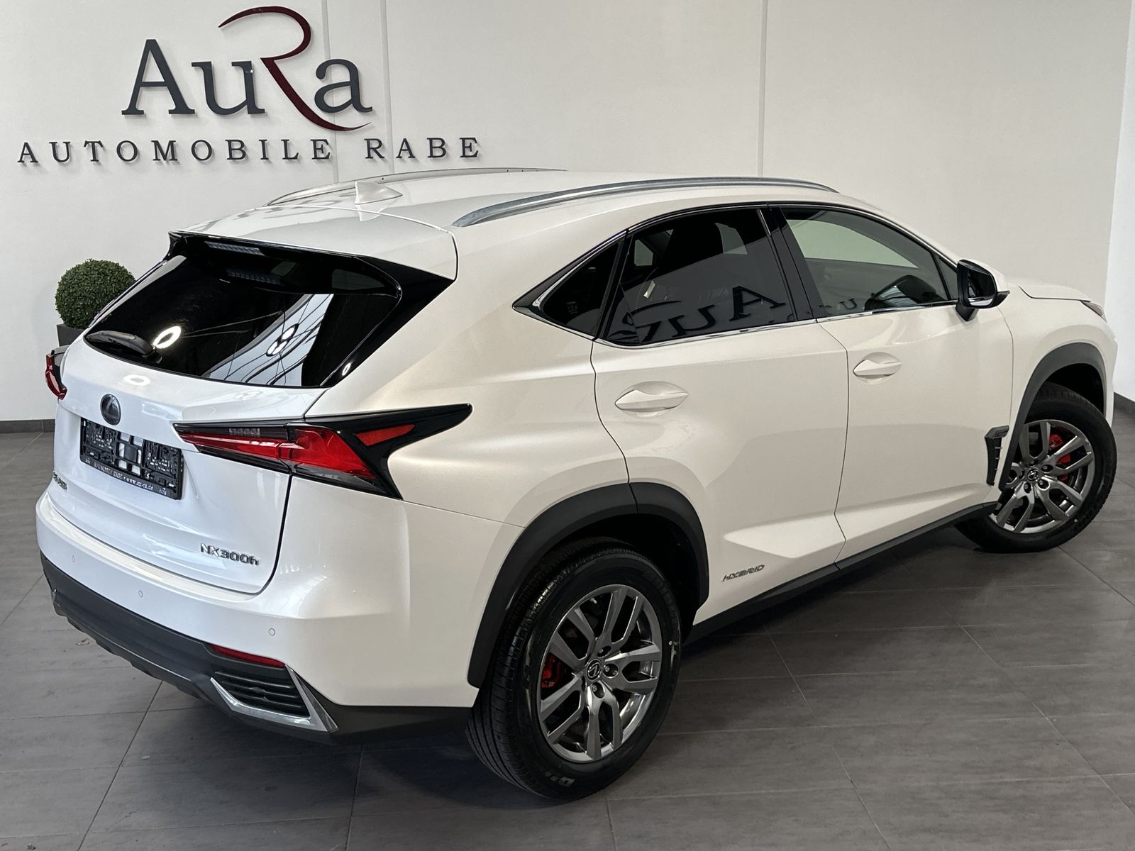 Fahrzeugabbildung Lexus NX 300h AWD Executive NAV+LED+SHZ+KAMERA+1HD+PP