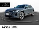 Audi Q8 advanced 55 e-tron quattro 300 kW