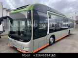 MAN LIONS CITY A37 HYBRID (DIESEL/ELEKTRO)