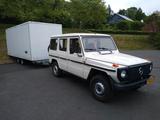 Mercedes-Benz G 240  1980 - Mercedes-Benz G 240 Gebrauchtwagen