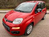Fiat Panda Easy CiTY 1,2 8V 1.Hand KLIMA 60 TKM - Fiat Panda Gebrauchtwagen in Stuttgart