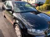 Audi AUDI A3 1.6 BENZINER MIT GAS ANLAGE UND NE... - Audi A3: Gas