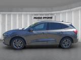 Ford Kuga ST-Line X 1.5 EB LED Pano AHK GJR RFK SHZ B - Ford Kuga mit Anhängerkupplung