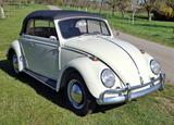 Volkswagen VW Käfer Cabrio 1300 Baujahr 1966 perlweiß - aus 1966: Cabrio