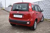 Fiat Panda Pop - Fiat Panda Gebrauchtwagen in Mannheim