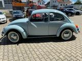 Volkswagen Käfer Ultima Edition - Volkswagen Käfer Gebrauchtwagen