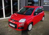 Fiat Panda 1.0 Hybrid 51kW/70PS, Klima, PDC, DAB - Fiat Panda: 5.5