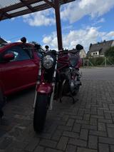 Suzuki Bandit 600, wenig Kilometer, viel Zubehör - SUZUKI BANDIT 600 S