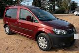 Volkswagen VW Caddy Roncalli Camper 1.2 TSI mit Ausbau - Volkswagen Caddy mit Benzin-Antrieb: Kombi, 1.2