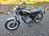 Yamaha SR 500 - Angebote entsprechen deinen Suchkriterien