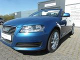 Audi A3 A3 Cabriolet 1.9 TDI DPF - Audi: 1.9