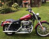Harley-Davidson Sportster XL 1200 Custom - HARLEY-DAVIDSON 2005 SPORTSTER 1200