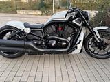 Harley-Davidson VRSCDX Night Rod - Harley-Davidson Motorräder in Frankfurt