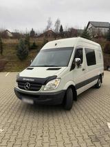 Mercedes-Benz Mercedes Sprinter 313 - Mercedes-Benz Sprinter aus 2008: 313