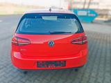 Volkswagen VW Golf 7 GTI Perf. /MwSt./HU+SVC neu/Pano/AHK - Firmenfahrzeug gebraucht