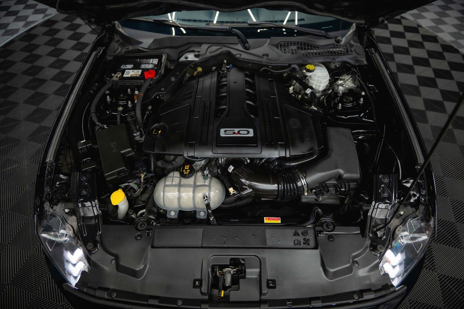 Fahrzeugabbildung Ford Mustang Shelby GT 500 5.0 V8 Performance PREMIUM