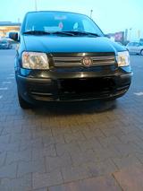 Fiat  Panda  1,2 Mit  Neu  TÜV  Bis  2028 - Fiat Panda Gebrauchtwagen in Osnabrück