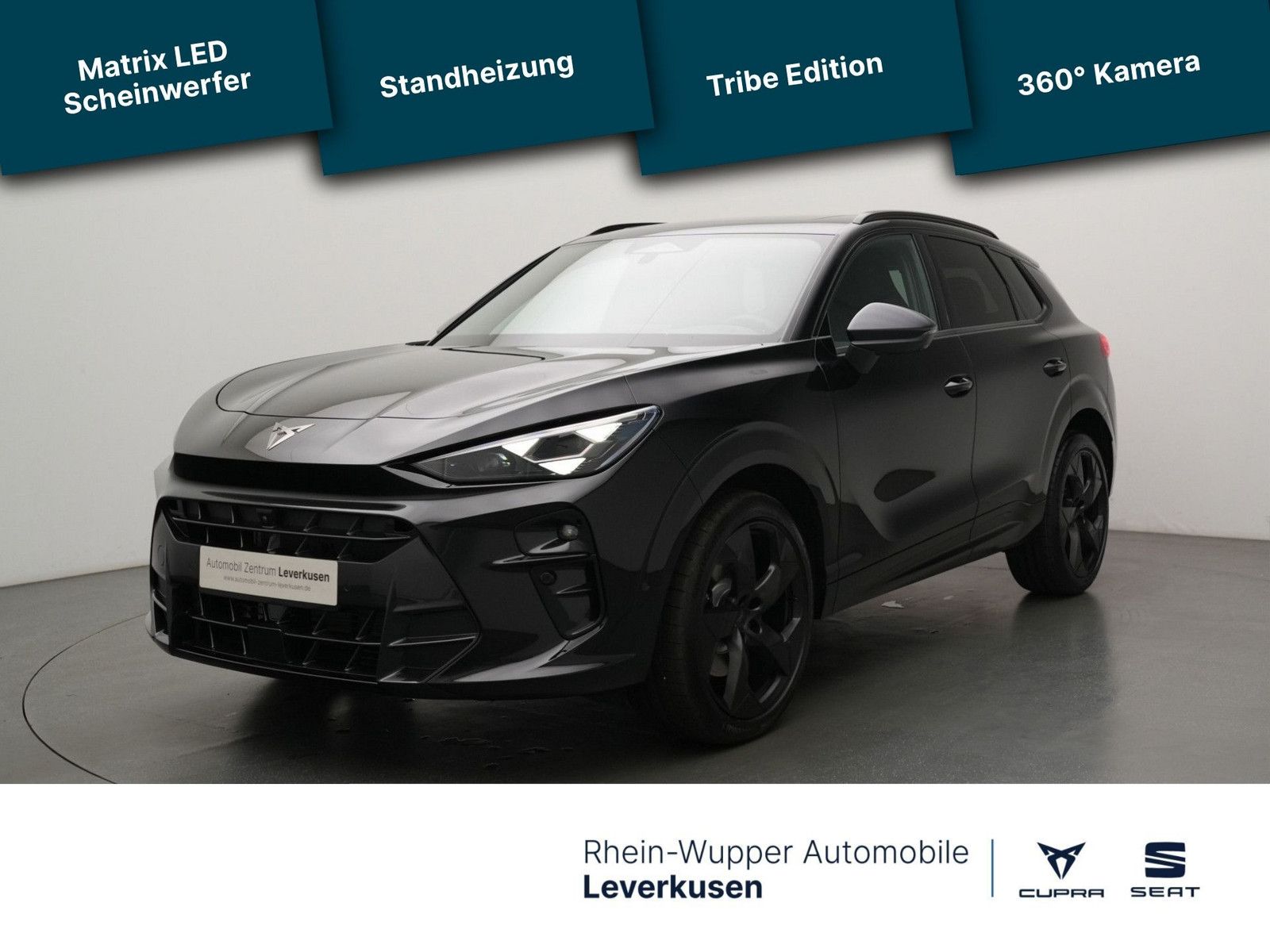 Cupra Terramar - Bild 1