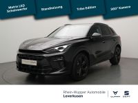 Cupra Terramar - Vorschau Bild 1