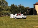 Andere Goggomobil Coupé TS 250 - Andere Goggomobil mit Benzin-Antrieb