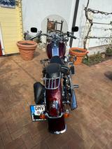 Harley-Davidson Wunderschöne Softail Deluxe FLSTN - HARLEY-DAVIDSON SOFTAIL DELUXE