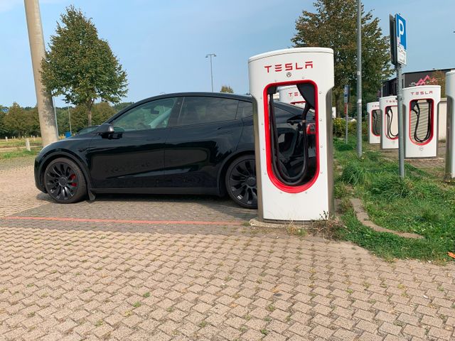 Tesla Model Y Performance Dual Motor AWD Performance