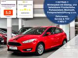 Ford Focus Lim. Trend *NEU ZAHNRIEMEN+SERVICE* - Ford: Service