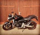 Honda CB 600 F Hornet - HONDA CB 600 F HORNET