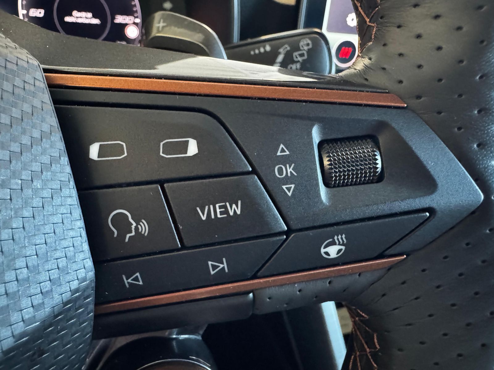 Fahrzeugabbildung CUPRA Leon 2.0 TSI VZ 4Drive Vision+ Matrix Pano ACC