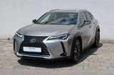 Lexus UX 250h Style Edition - Lexus UX: Style Edition