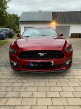 Ford Mustang 2.3 EcoBoost Premium - Europ. Modell  - Ford Mustang: Premium