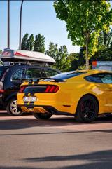 Ford Mustang  2.3 ecoboost 317 ps - Ford Mustang Gebrauchtwagen in Bielefeld