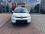 Fiat Panda City Life - Fiat Panda in Chemnitz