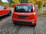 Fiat Panda Automatik zu verkaufen - Fiat Panda: Automatik