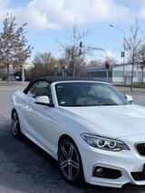 BMW 228i Cabrio M Sport M Sport - BMW 228 mit Benzin-Antrieb: Cabrio