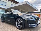 BMW 2 Cabrio 218 i Bi-Xenon Navi Leder Alu Pdc Euro6 - BMW: E21