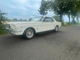 Ford Mustang 64 1/2 (1965) mit 289er Motor - Ford Mustang: Motor
