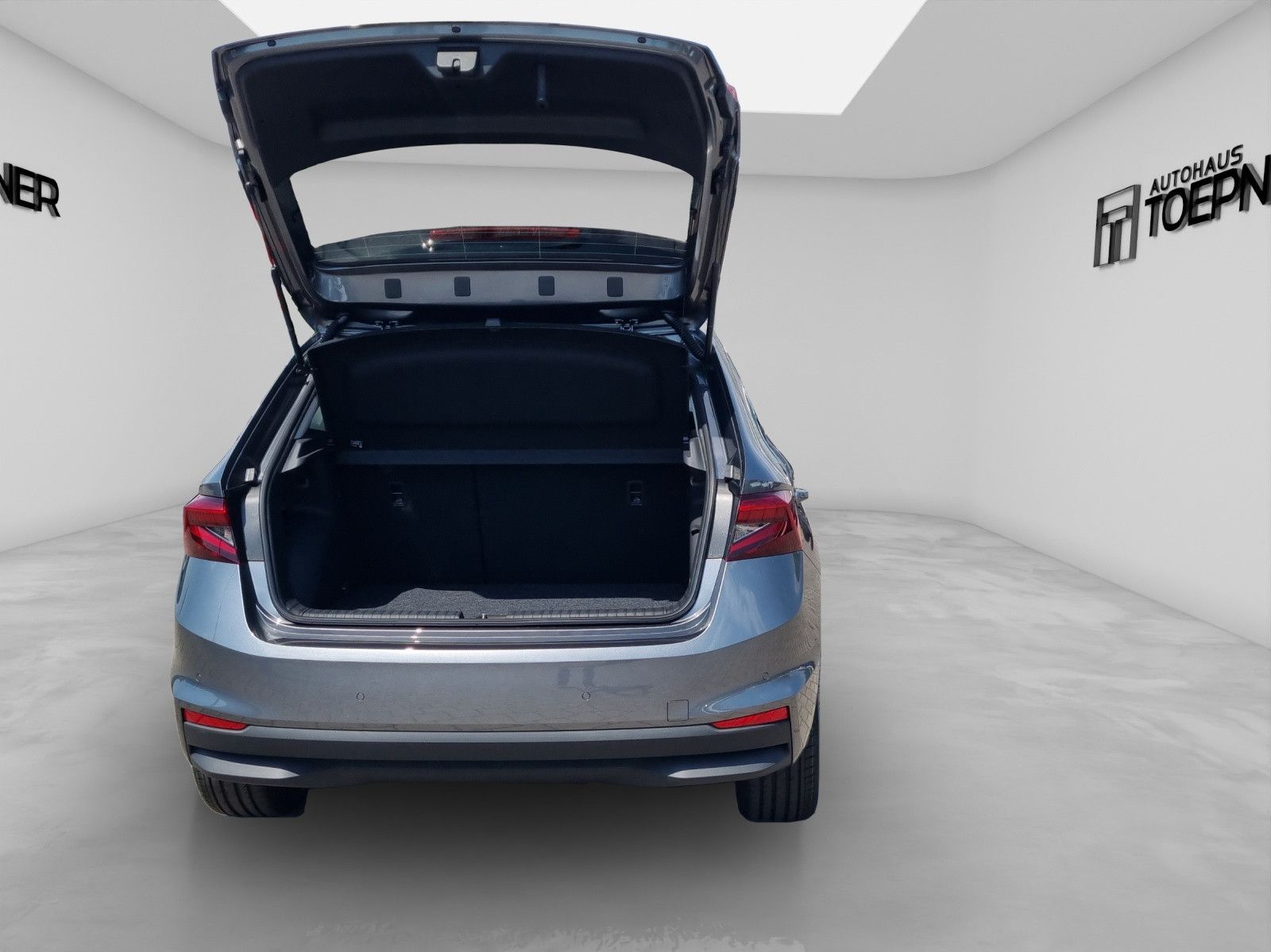 Fahrzeugabbildung SKODA Fabia Balance 1,0TSI 17" Winter+ Fahrassi 50L