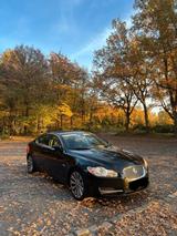 Jaguar xf 4,2 V8 - gebrauchte Jaguar XF aus dem Jahr 2008