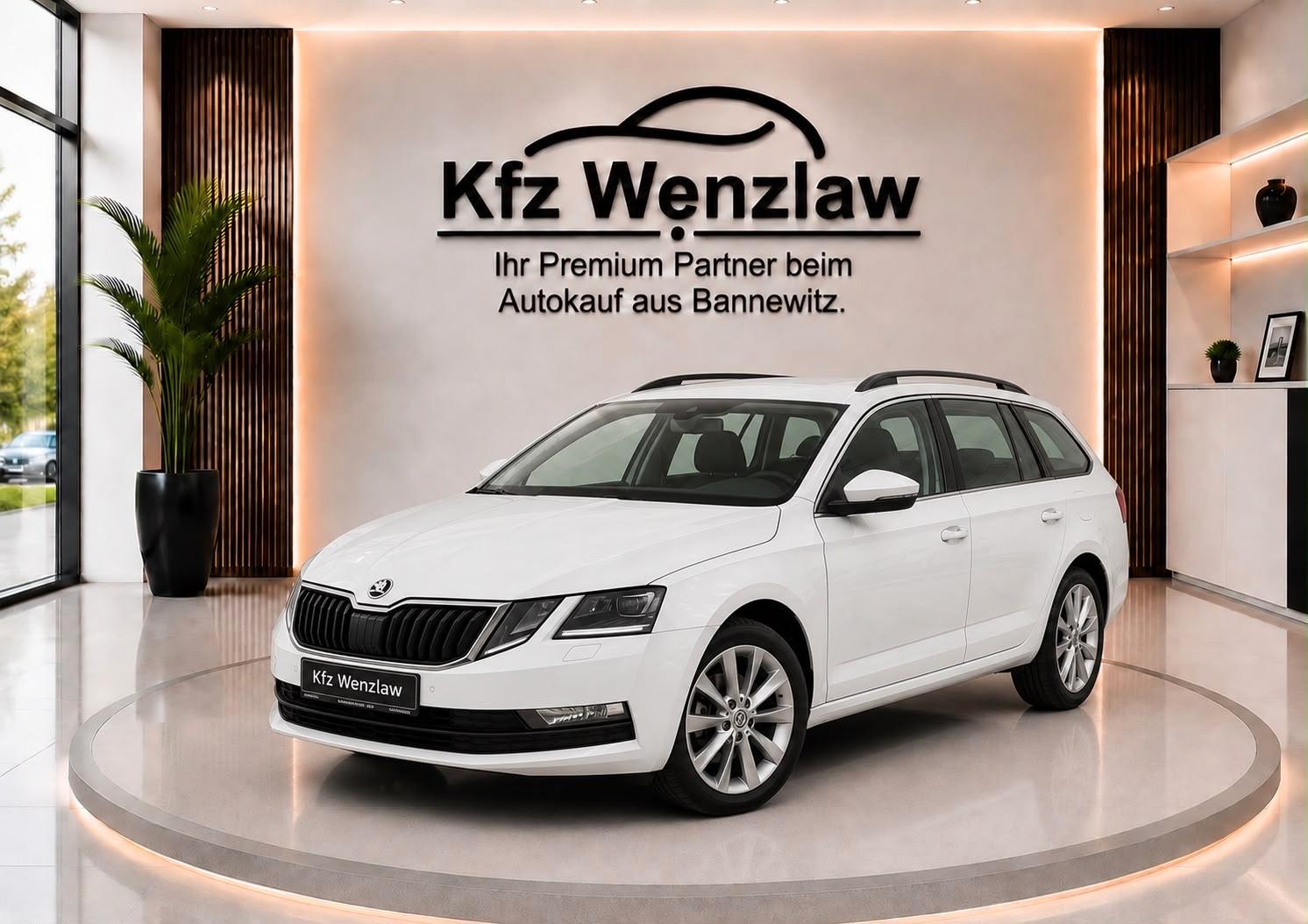 Skoda Octavia 1.8TSI Combi 4x4*Standhzg*1.Hand*DAB*