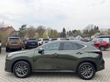 Lexus NX 450 h+ E-Executive.HUD.LED.P-Dach.360K.MY26 - Lexus NX-Serie Plug-in Hybrid (PHEV) Gebrauchtwagen