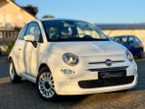 Fiat 500 HYBRID DOLCEVITA*GLASDACH*LEDER*CARPLAY - Fiat 500: Glasdach