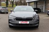 Skoda Octavia DSG Selection LED Sunset wireless CAM Na - Skoda Octavia: Limousine