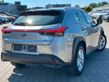 Lexus UX250h Hybrid Luxury Line - Lexus UX Gebrauchtwagen
