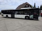 Mercedes-Benz Citaro LE Stadt- Überlandbus, Anhängerkupplung - Plattform Anhänger